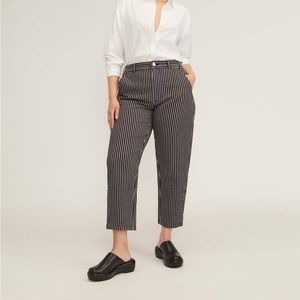Everlane Utility Barrel Pants